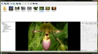 WinX YouTube Downloader 6.2