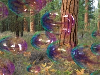 Amazing Bubbles 3D Screensaver 1.4
