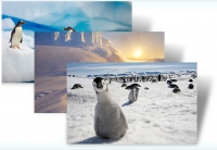 Antarctica - Tema Windows 7​