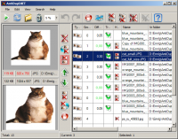 AntiDupl.NET 2.3.8