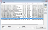Batch Video To Audio Extractor