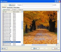 DiskDigger 0.8.2