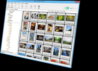 FocusOn Image Viewer 1.29