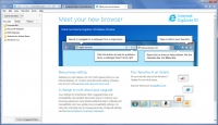 Internet Explorer 10 (32-Bit)