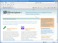 Microsoft Internet Explorer 8 for Vista