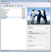 Image Tuner 10.0