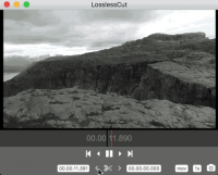 LosslessCut 3.64