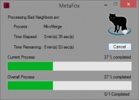 MetaFox 2.3.0