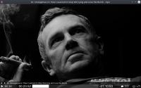 mpv player 0.39.0
