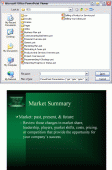 Microsoft PowerPoint Viewer 1.0