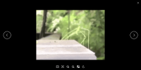 Pineapple Pictures 0.9.2