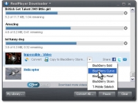 RealPlayer 22.0.2.305