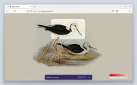 Search by Image for Firefox 8.1.0
