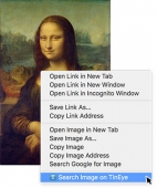 TinEye Reverse Image Search for Chrome