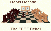 Rebel Decade