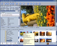 DIMIN Image Viewer 5