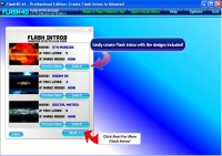 Flash4D Professional Version