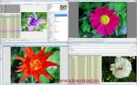 WildBit Viewer 6.16