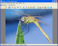 XnView 2.51.1