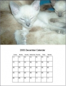 Easy Calendar Maker Calendar Software