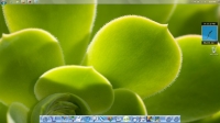 Mac Dock 6.0