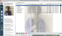 Strawberry Music Player 1.2.8